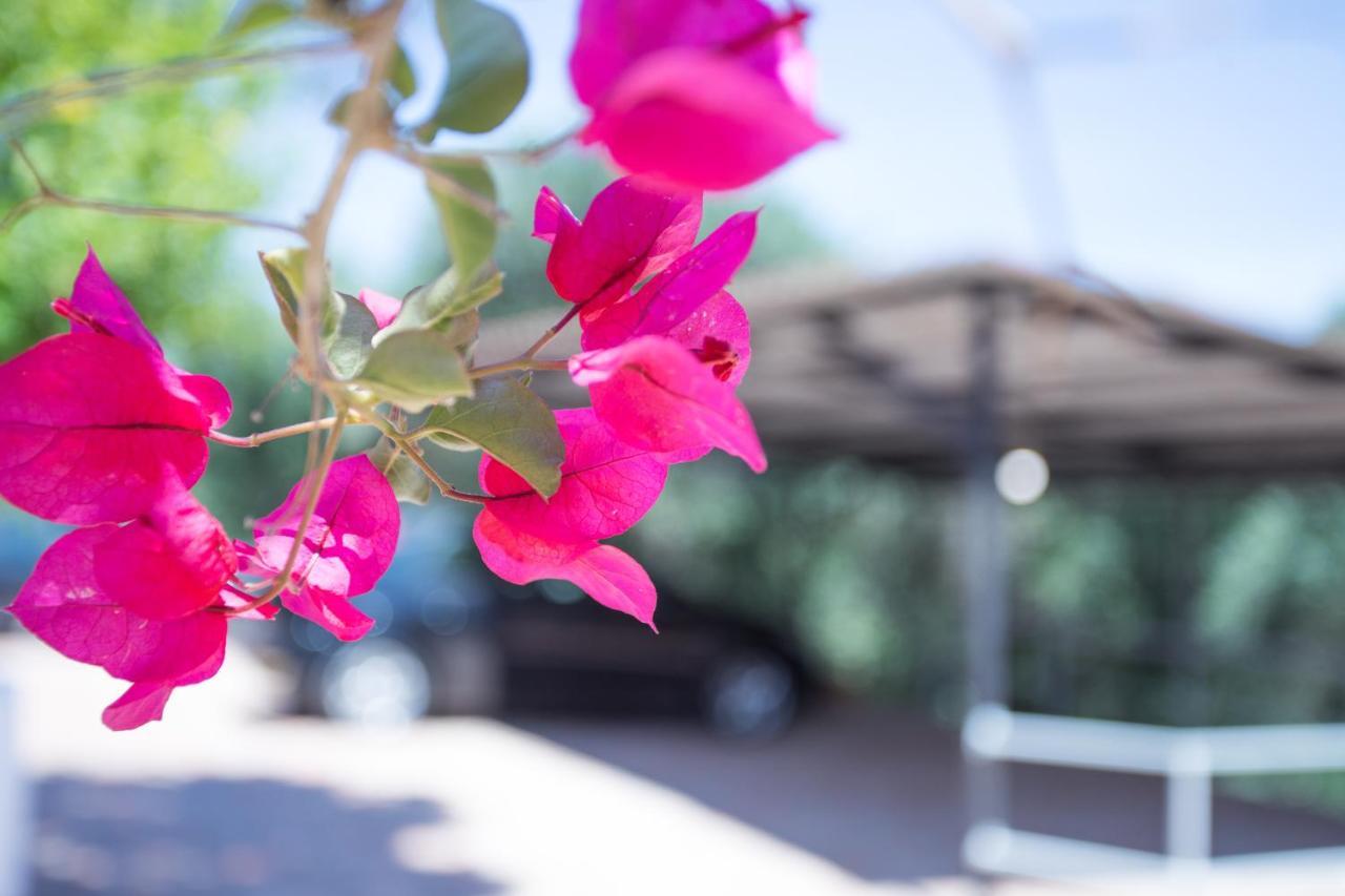 Olive Tree House Villa Evropouloi ภายนอก รูปภาพ
